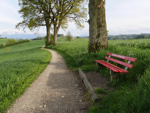 Vor Studenweid, im Hintergrund der Pilatus