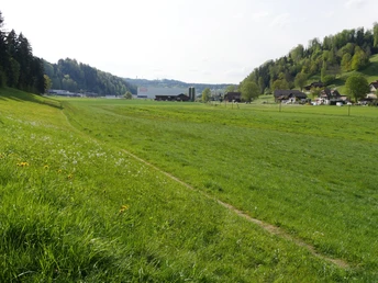 Blick zurück zum Industriegebiet von Willisau