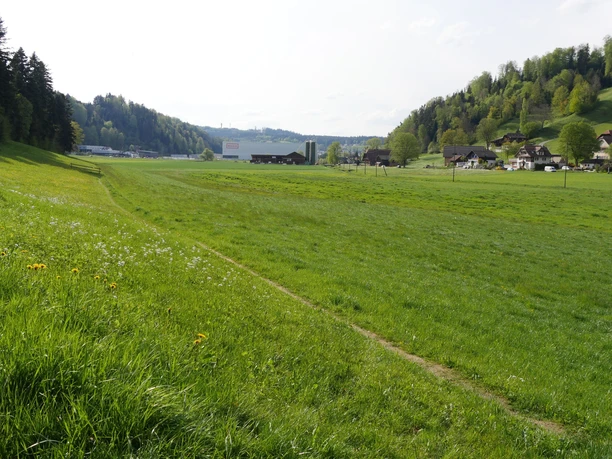 Blick zurück zum Industriegebiet von Willisau