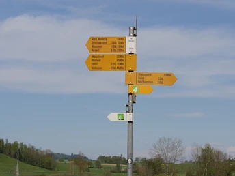 Der Jakobsweg ist deutlich signalisiert