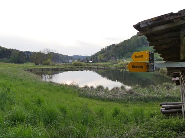 Die Ostergauer Weiher von Nah