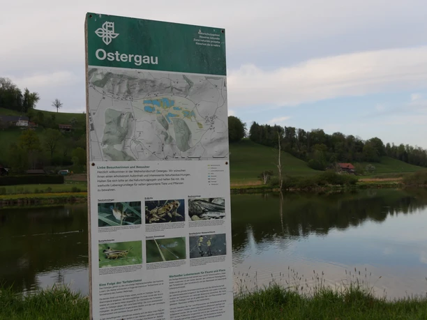 Hier erfahren Interessierte mehr über die Torfstecherei und Fauna und Flora