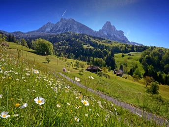 Blick auf die Mythen