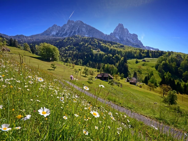 Blick auf die Mythen