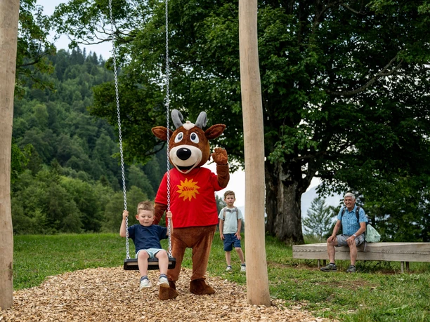 Stooshorn-Runde Schaukel