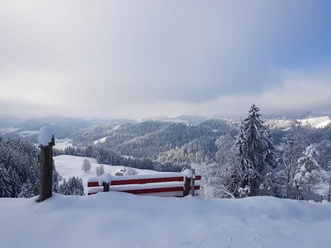 Typische Napflandschaft