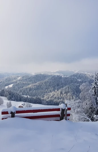 Typische Napflandschaft