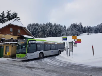 Gleich bei der Busendstation fängt der Schneeschuhtrail an