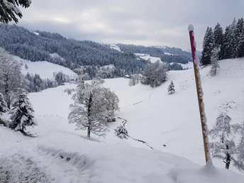 Blick zurück Richtung Fankhaus