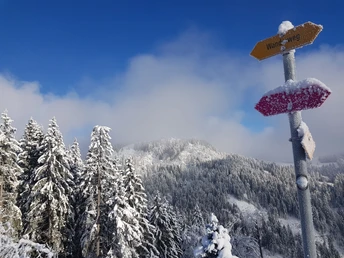 Im Hintergrund zeigt sich das Berghotel Napf