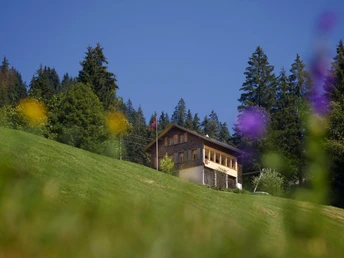 Eine Übernachtung im Naturfreundehaus Schrattenblick, inmitten der Natur im abgelegenen Hilferntal.