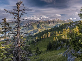 Wunderschöne, urtümliche Naturlandschaft auf der Beichle in Escholzmatt.
