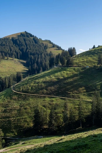 Würzestock (re) und Dossen (li)