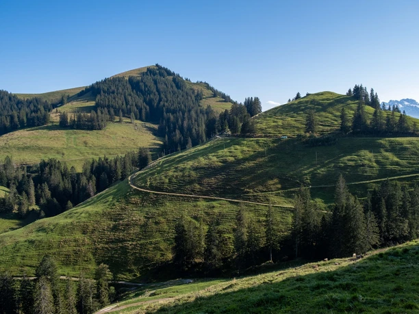 Würzestock (re) und Dossen (li)