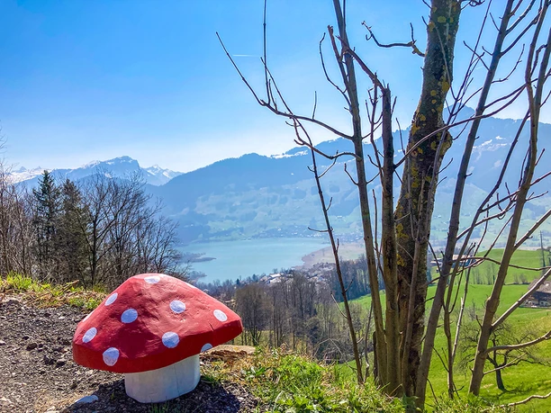Glückspilz mit Lauerzersee im Hintergrund