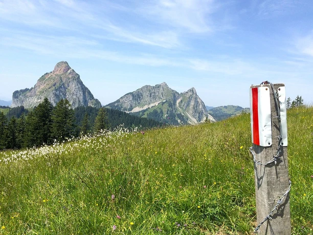 Auf dem Weg hinauf zum Furggelenstock