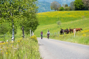 Savurando - die kulinarische E-Bike Schatzsuche in Entlebuch