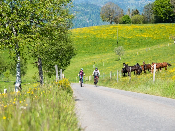Savurando - die kulinarische E-Bike Schatzsuche in Entlebuch