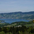 Blick vom Mostelberg zum Ägerisee.