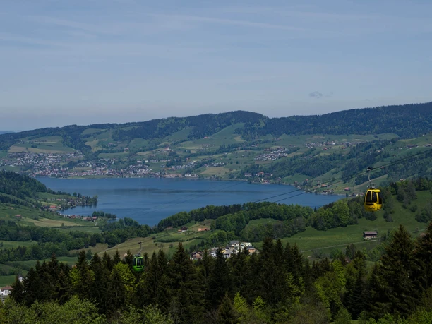 Blick vom Mostelberg zum Ägerisee.