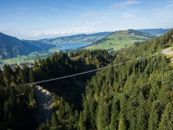 Hängebrücke Skywalk - Direkter Weg zum Gruebi Mostelberg