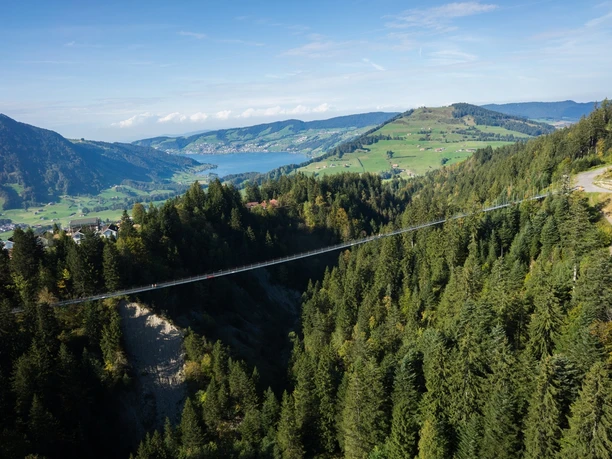 Hängebrücke Skywalk - Direkter Weg zum Gruebi Mostelberg