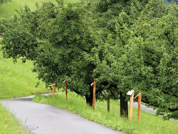 Obstlehrpfad Weg mit Beschriftung