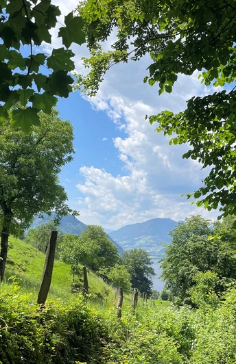 Aussicht auf den Alpnachersee
