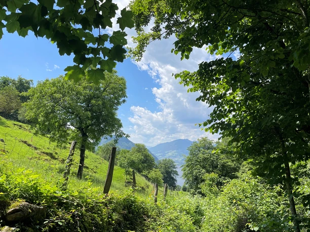 Aussicht auf den Alpnachersee