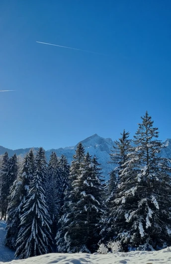Blick vom Kramerplateauweg
