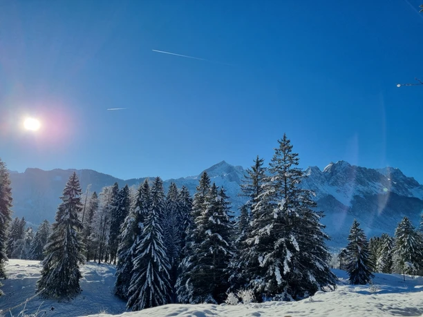 Blick vom Kramerplateauweg Verschneite Bergkulisse mit Tannen im Sonnenlicht unter klarem Himmel
