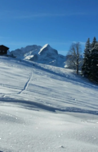 Blick auf die Alpspitze