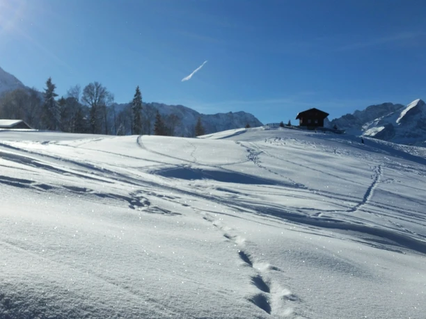 Tiefschneegipfel am Eckbauer Verschneite Hänge mit Spuren, einer Hütte auf einem Hügel und klarer Bergkulisse im Sonnenlicht.