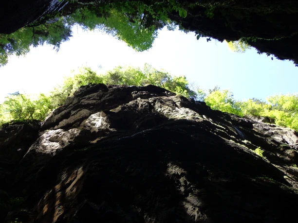 Klamm Blick aus einer engen Schlucht zu steilen Felswänden mit hellem Grün im Sonnenlicht