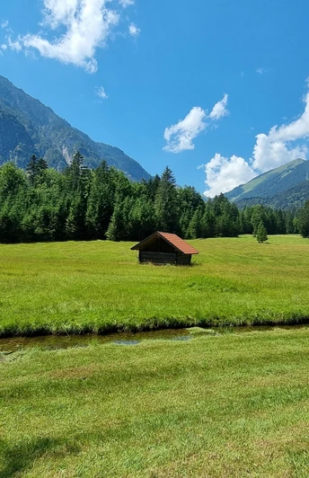Blick auf die Reschbergwiesen