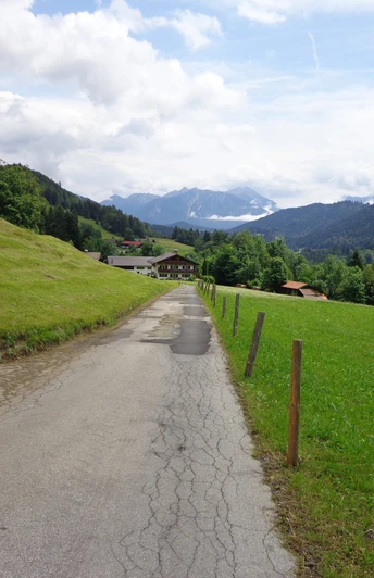 Weg zwischen Pfeifferalm und Gschwandtnerbauer