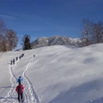 Schneeschuhwandern rund um die Kochelbergalm Gruppe beim Schneeschuhgehen über verschneite Hänge vor bewaldetem Berg und blauem Himmel