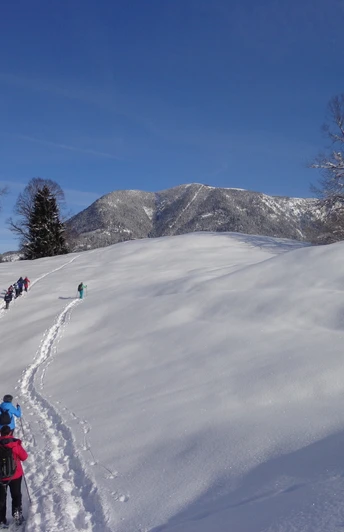 Schneeschuhwandern rund um die Kochelbergalm