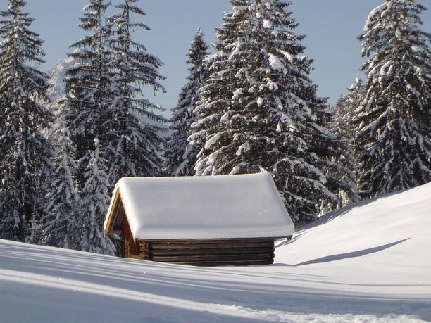 Schneebedeckte Holzhütte Schneebedeckte Holzhütte vor hohen Tannen in einer ruhigen Winterlandschaft.