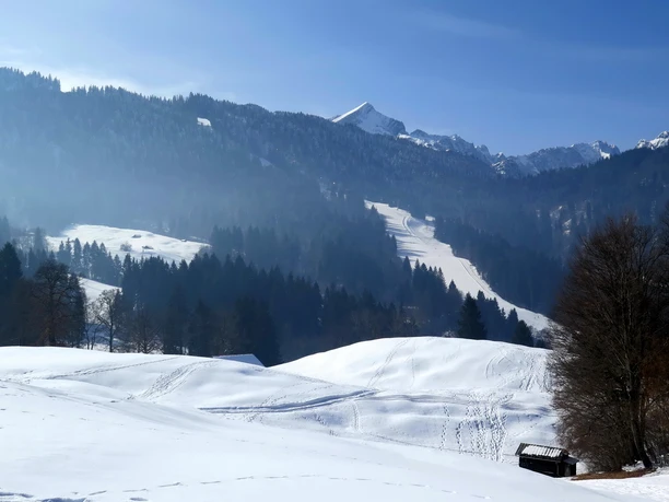 Blick von den Kochelbergwiesen auf das Hausbergskigebiet Verschneite Hügel mit Wald, dahinter Berge und eine breite Skipiste sowie eine kleine Hütte.