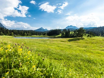 Spitzenwanderweg Schmalensee