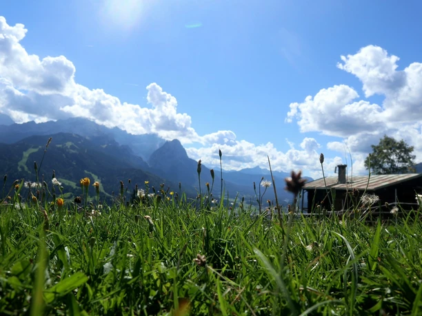 Ecken-Hütte am Wank Wiesenblick mit Blumen vor Bergkulisse und einer kleinen Hütte unter blauem Himmel