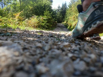 Nach der Eckenhütte, steiniger Abstieg