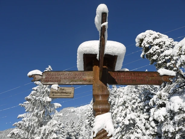 Verschneiter Wegweiser Verschneiter hölzerner Wegweiser vor winterlichem Wald und tiefblauem Himmel im Gebirge