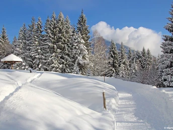 Kramerplateauweg im Winter