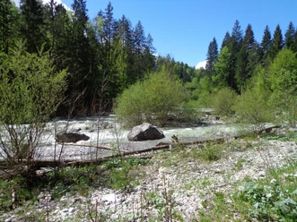 Loisach Breiter Gebirgsfluss mit Felsen vor dichtem Wald unter klarem blauem Himmel