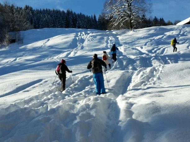 Pulverschneespaß Du siehst Menschen beim Gehen durch tiefen Schnee unter blauem Himmel.