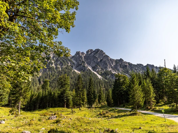 Blick auf den Grießberg auf Höhe der Rotmoosalm