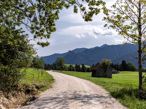 Schotterweg durch Wiesen der Ammergauer Alpen