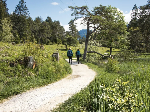 Kramerplateauweg Zwei Wandernde auf breitem Weg durch grünes Waldtal mit Blick auf entfernte Berge